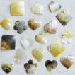 Shell Pendants